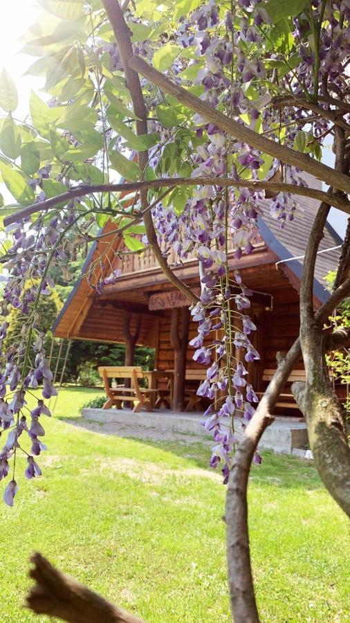 U Leona Villa Gorlice Ngoại thất bức ảnh